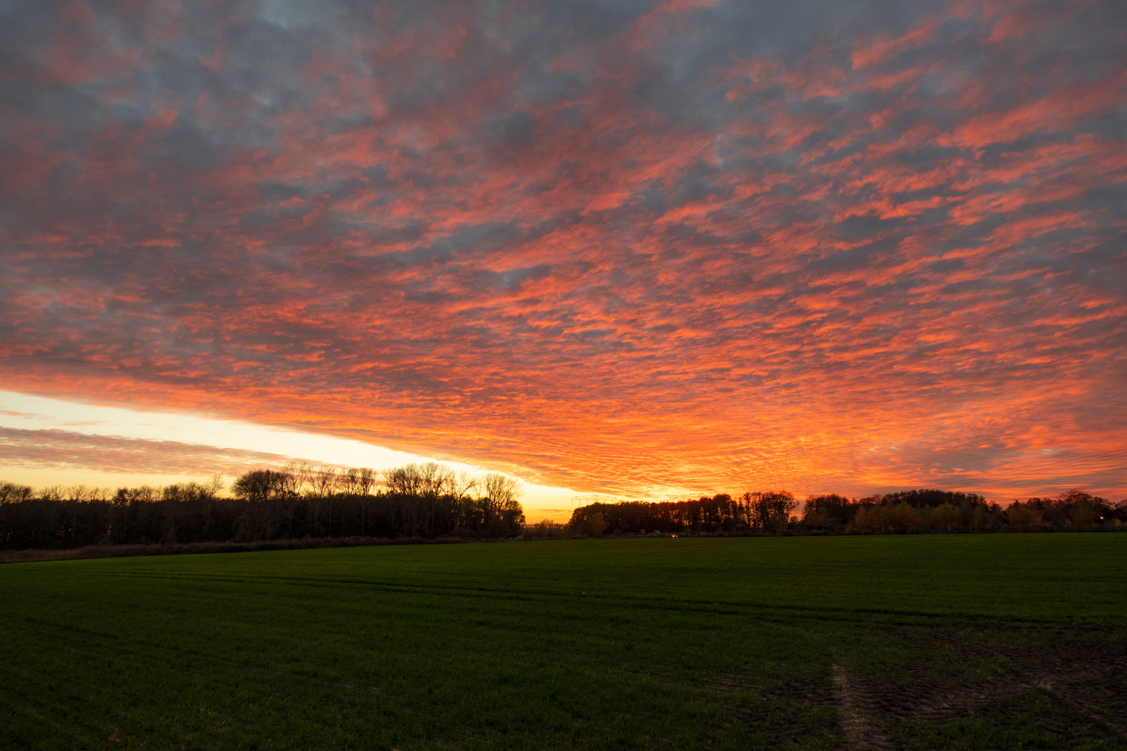 vor Sonnenuntergang