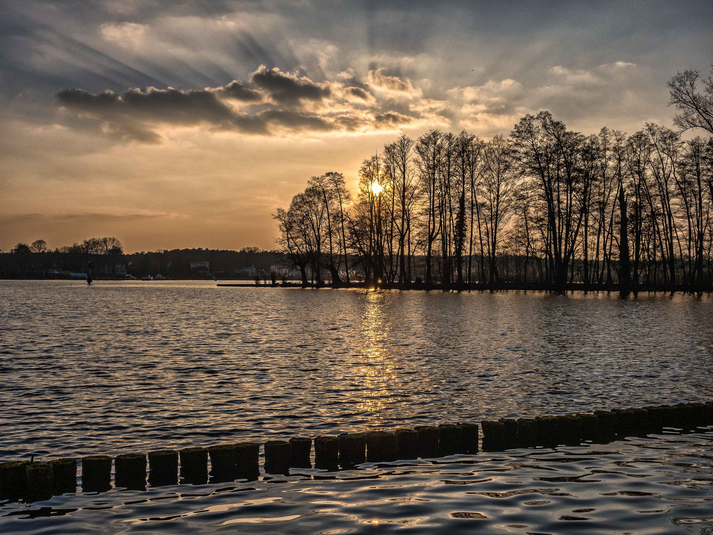 Vor Sonnenuntergang am Langen See