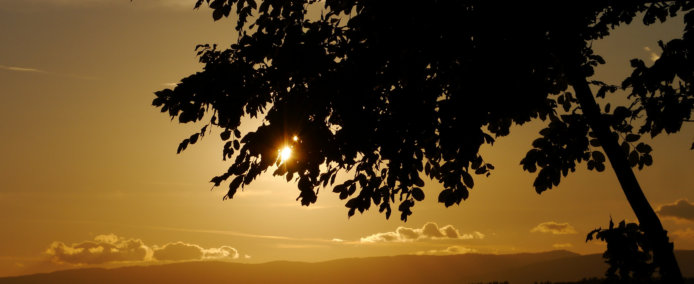 vor Sonnenuntergang