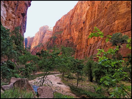 VOR SONNENUNTERGANG IM ZION NP....