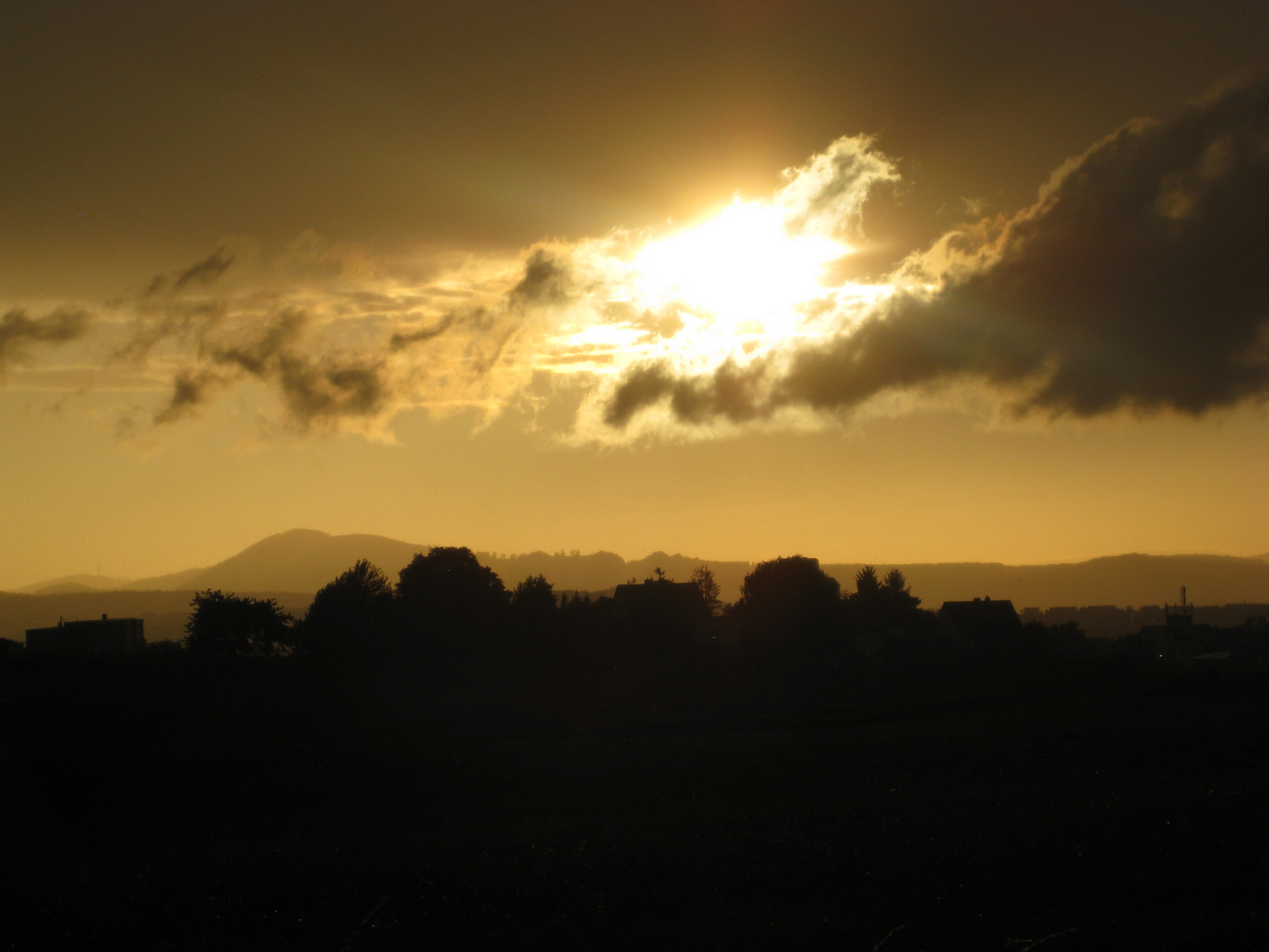 Vor Sonnenuntergang | Kassel-Hasenhecke 2015