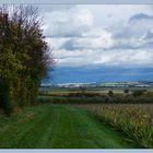 Vor-Stadt-Landschaft