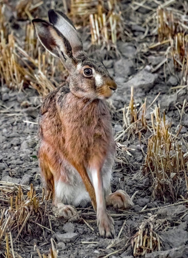 "VOR TAGESANBRUCH" (ISO 8000)