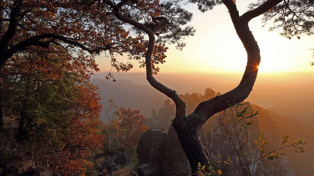 Vor über 5 Jahren im Herbst konnte ich den Sonnenaufgang auf der Bastei erleben...