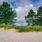 vor und hinter dem Deich - Glücksburg-Holnis/SH