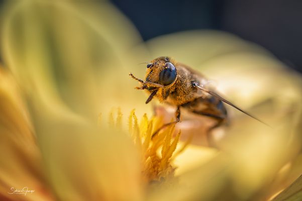 Vor und nach dem Essen, Hände waschen nicht vergessen!