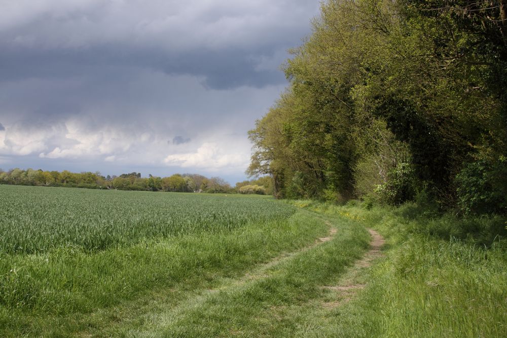 Vor und nach dem Regen trocken ...