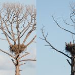 Vor und nach dem Sturm