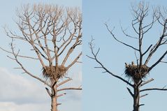 Vor und nach dem Sturm