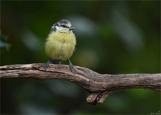 Vor wenigen Wochen ...