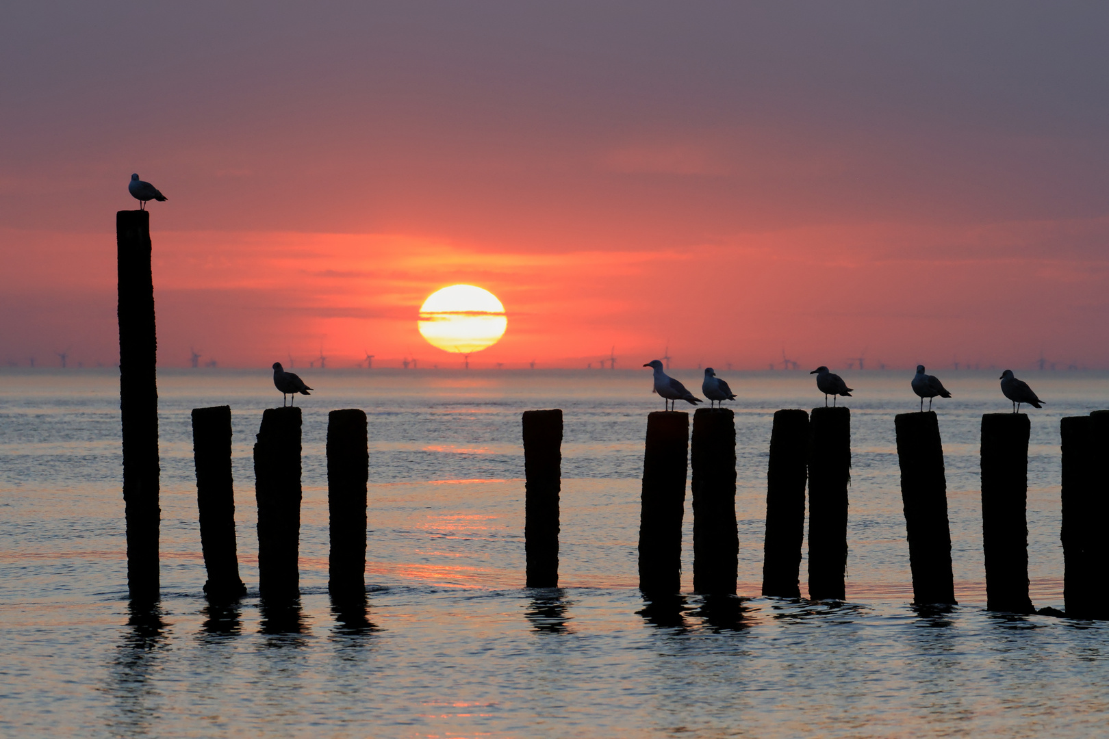 vor Westkapelle in Zeeland