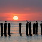 vor Westkapelle in Zeeland