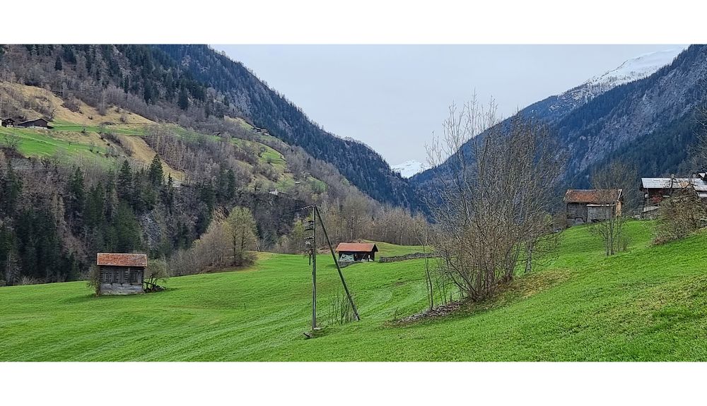 Vor Wochen in Surcasti. Jetzt liegt wieder Schnee...