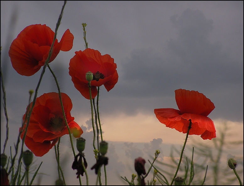 vor wolken...