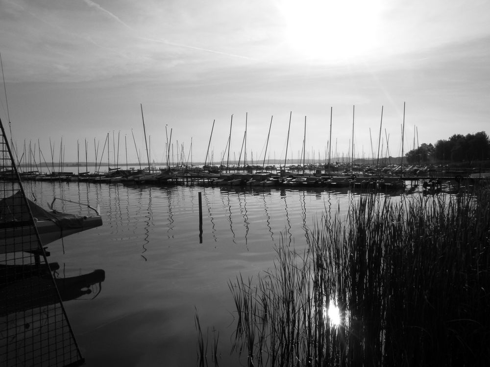 Vorabendliche Ruhe am Steinhuder Meer.