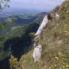 voralpen im frühling-frügsommer