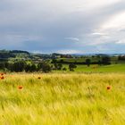 Voralpen in der Schweiz