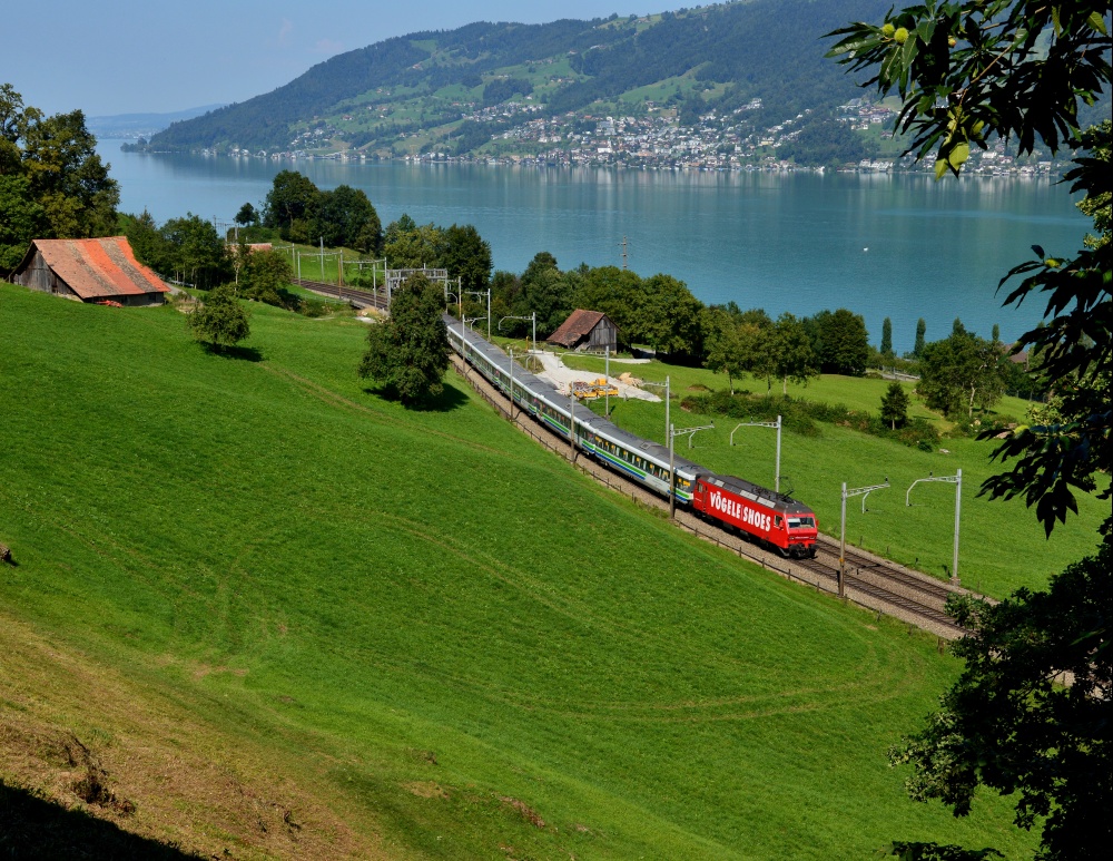 Voralpenexpress unter Kastanien