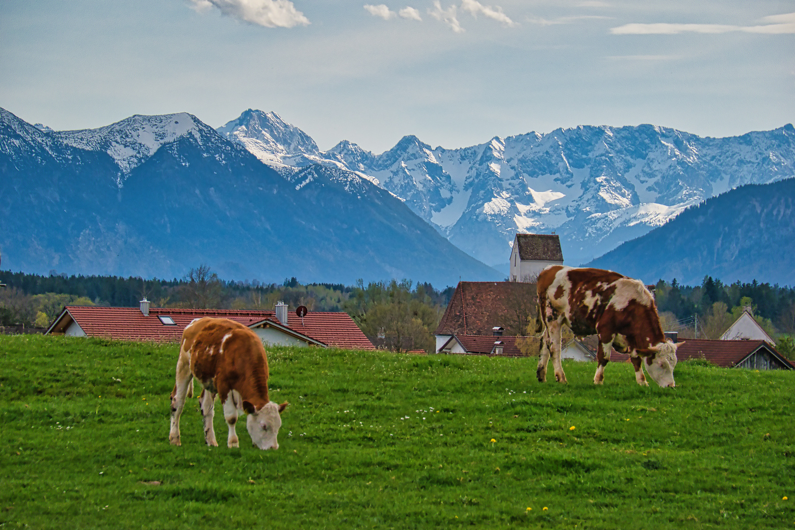 Voralpenland (DSC_5429_Lu)