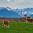 Voralpenland (DSC_5429_Lu)