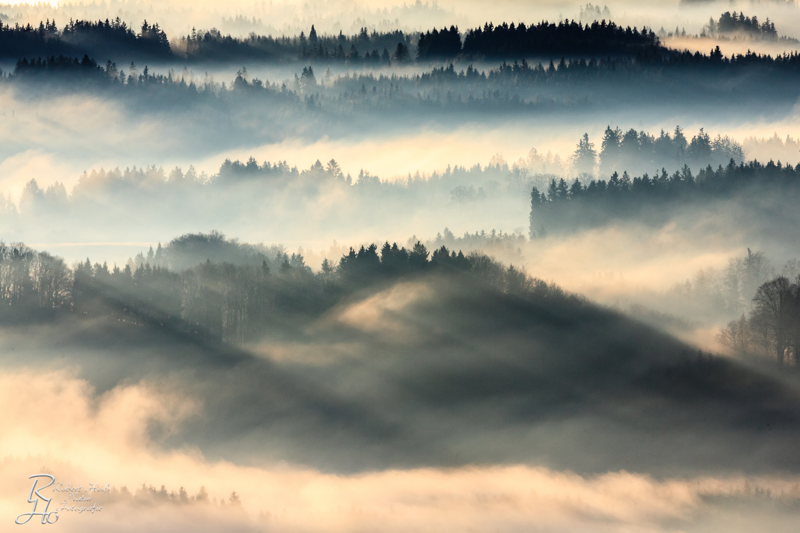 Voralpenland im Morgennebel