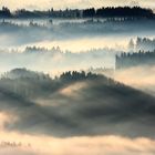 Voralpenland im Morgennebel