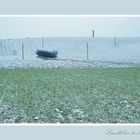 Voralpenland vor dem starken Schneefall