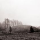 Voralpenlandschaft im nebel