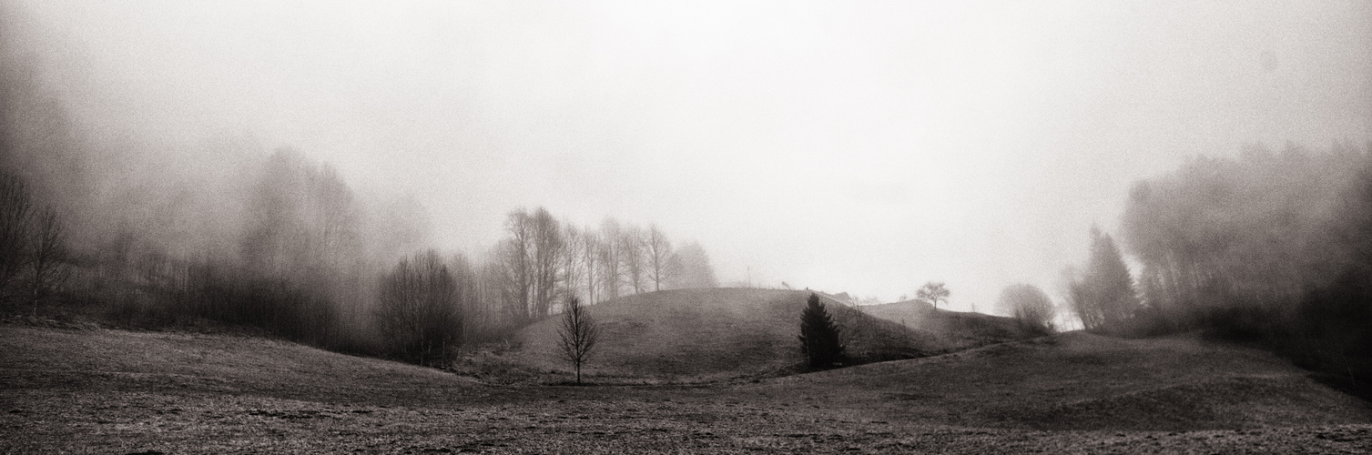 Voralpenlandschaft im nebel