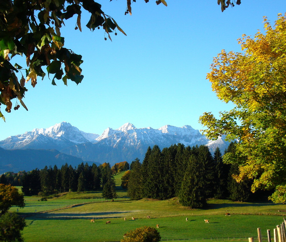 Voralpenlandschaft Richtung Füssen am eiskalten Morgen - 20081004