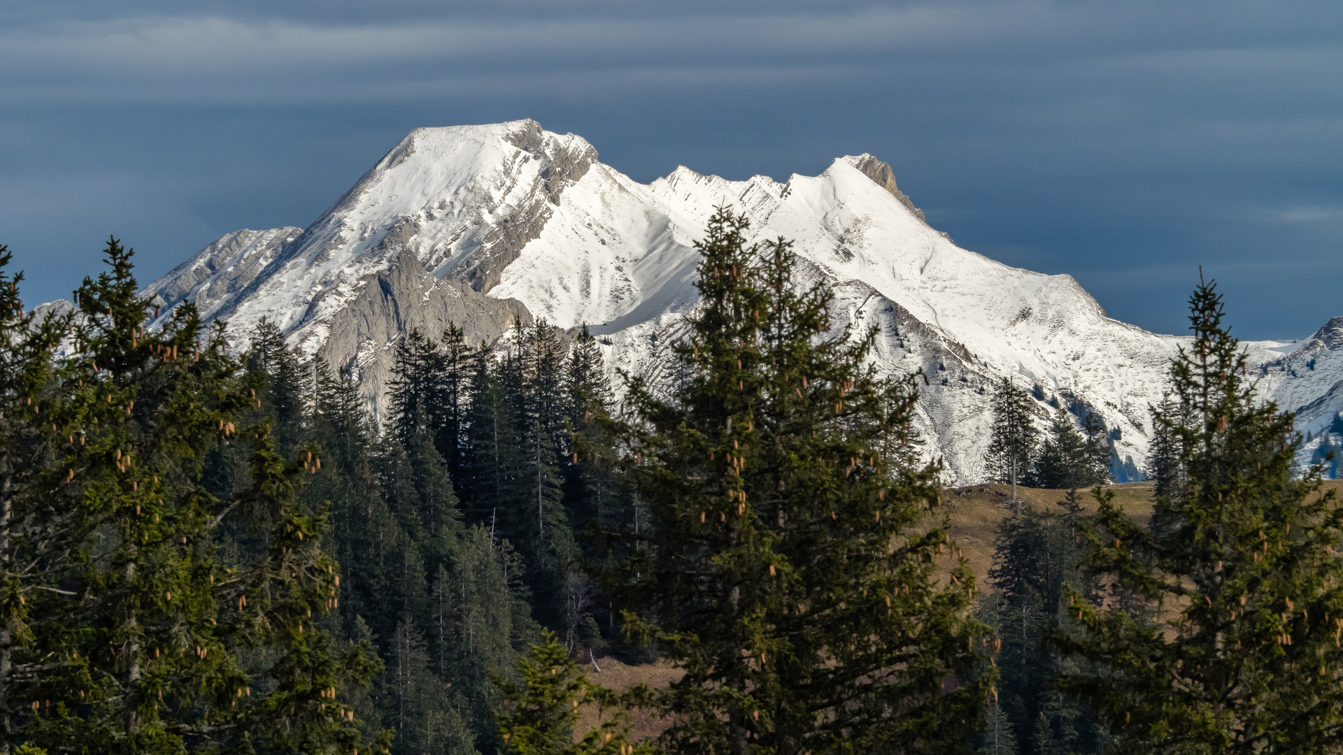 Voralpenparadies