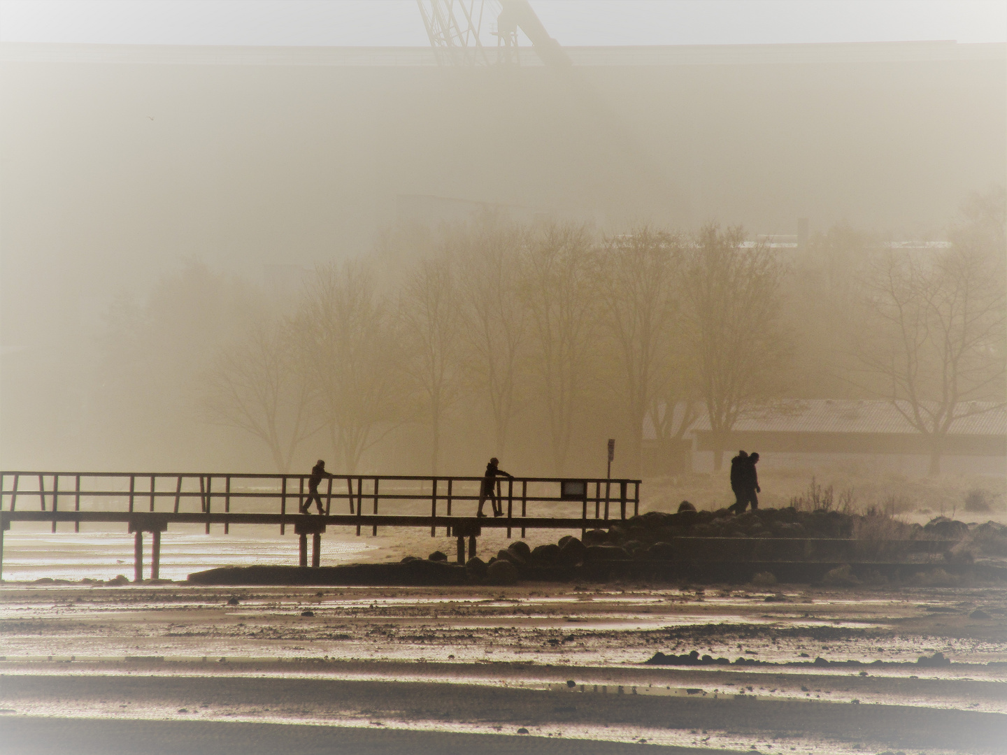 Vorantasten im Morgennebel 