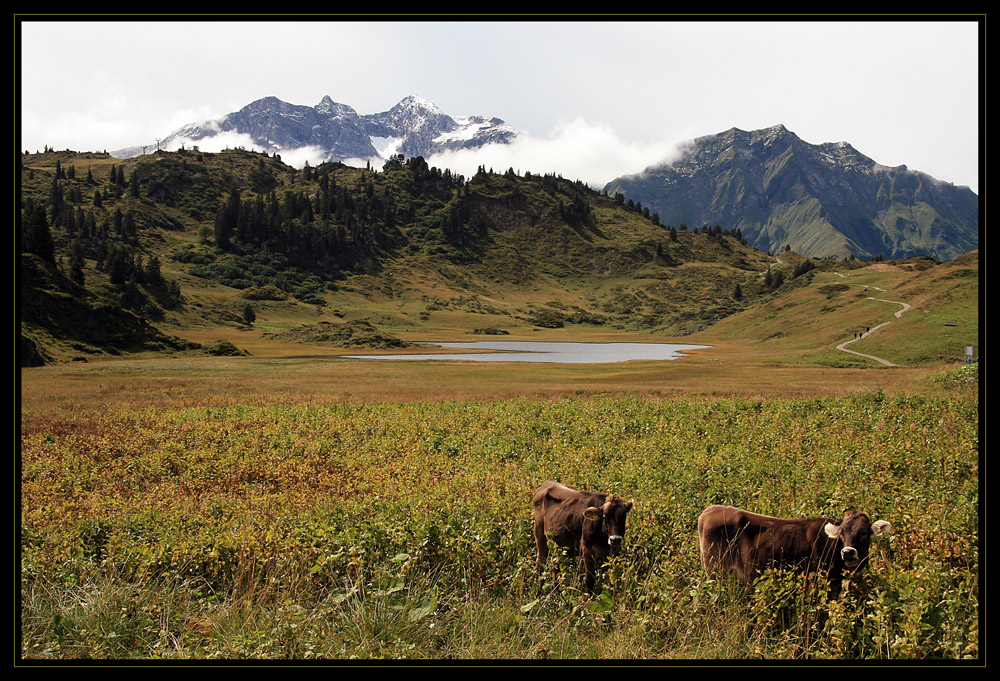 Vorarlberg