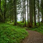 Vorarlberg Wanderweg Klangstein