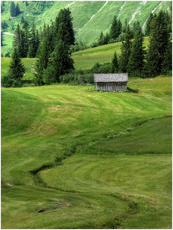 Vorarlberger Almlandschaft