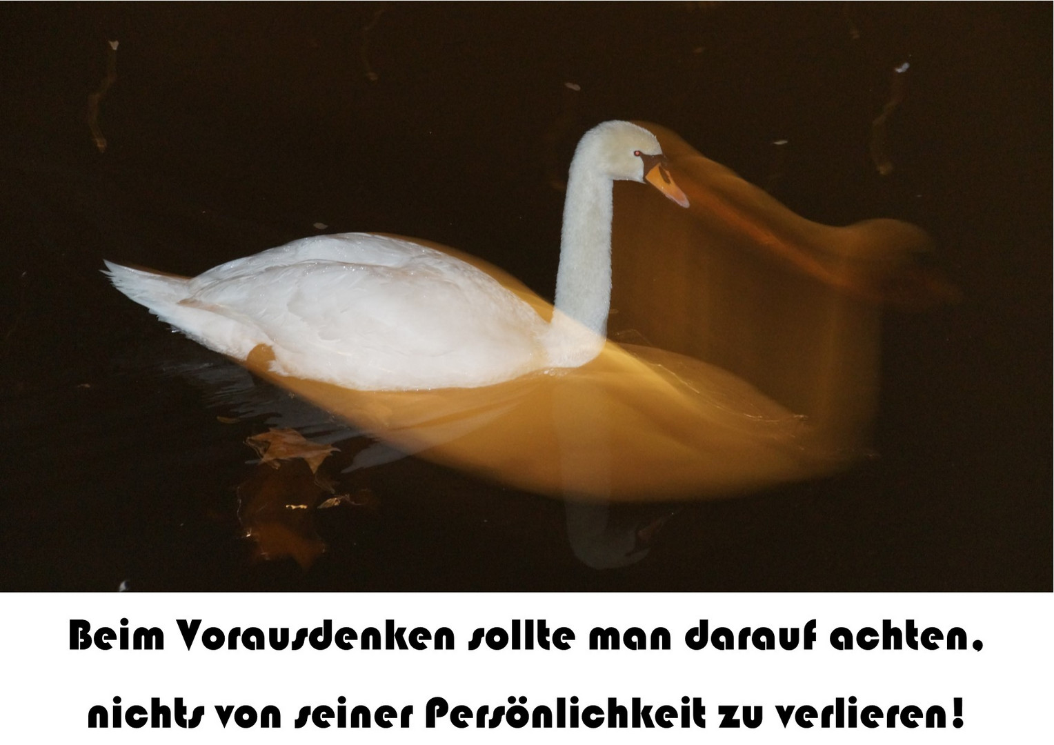 Vorausdenkende_Persönlichkeit