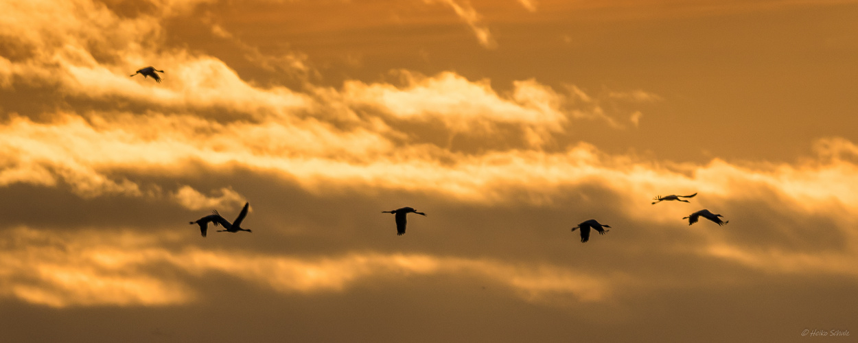 ... vorbei am Abendrot ...