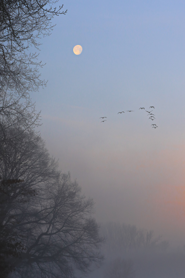 Vorbei am Mond