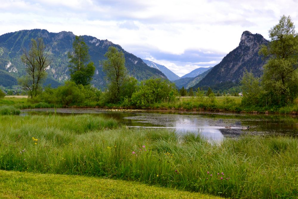 Vorbei an diesem kleinen Weiher führt der Ammerweg…