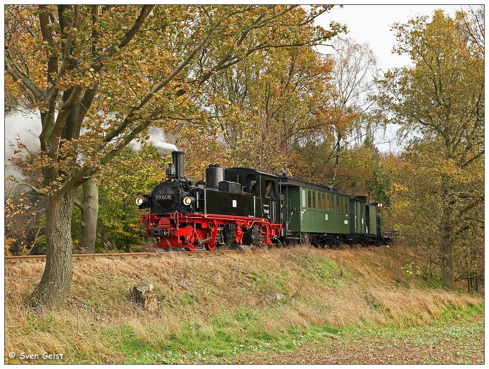 Vorbei an herbstlich geschmückten Laubbäumen