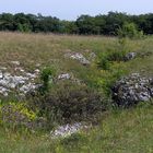 Vorbei an kleinen Dolinen