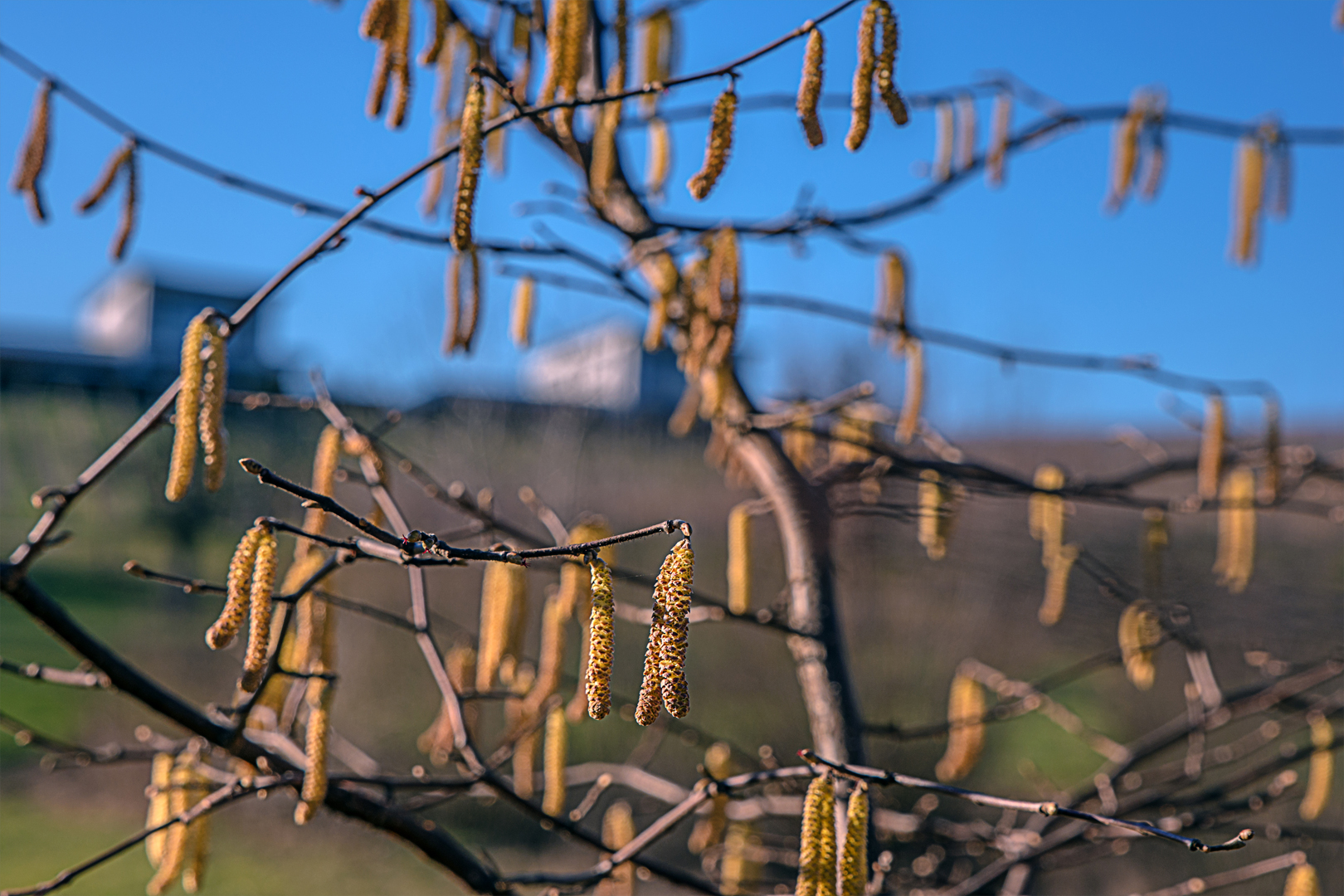 Vorbei ist der Winter