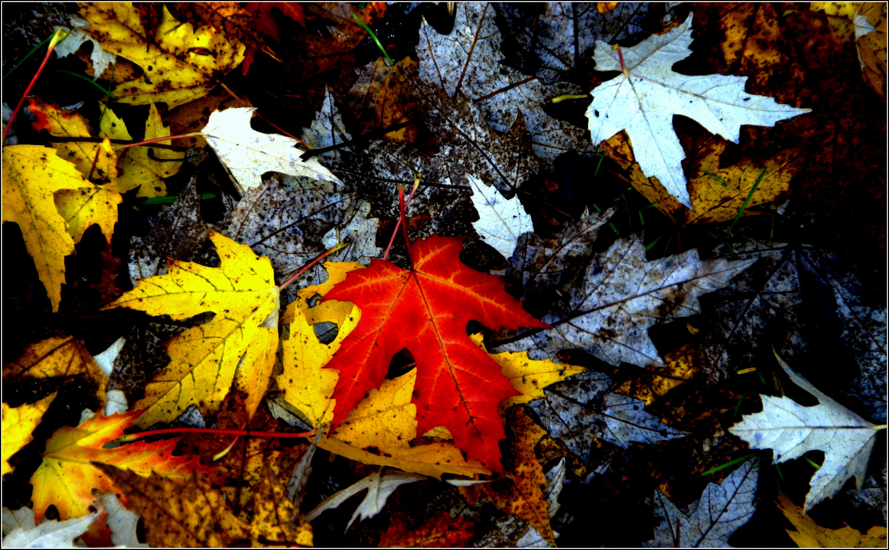 vorbei....der Herbst und Winter