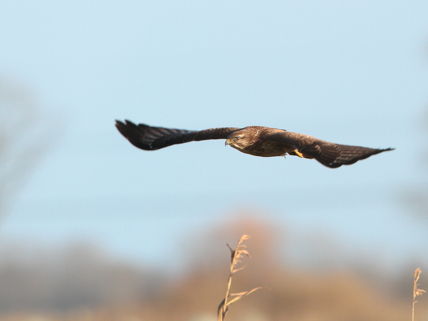 Vorbeiflug