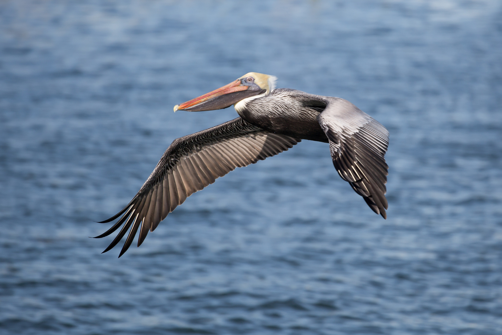 Vorbeiflug