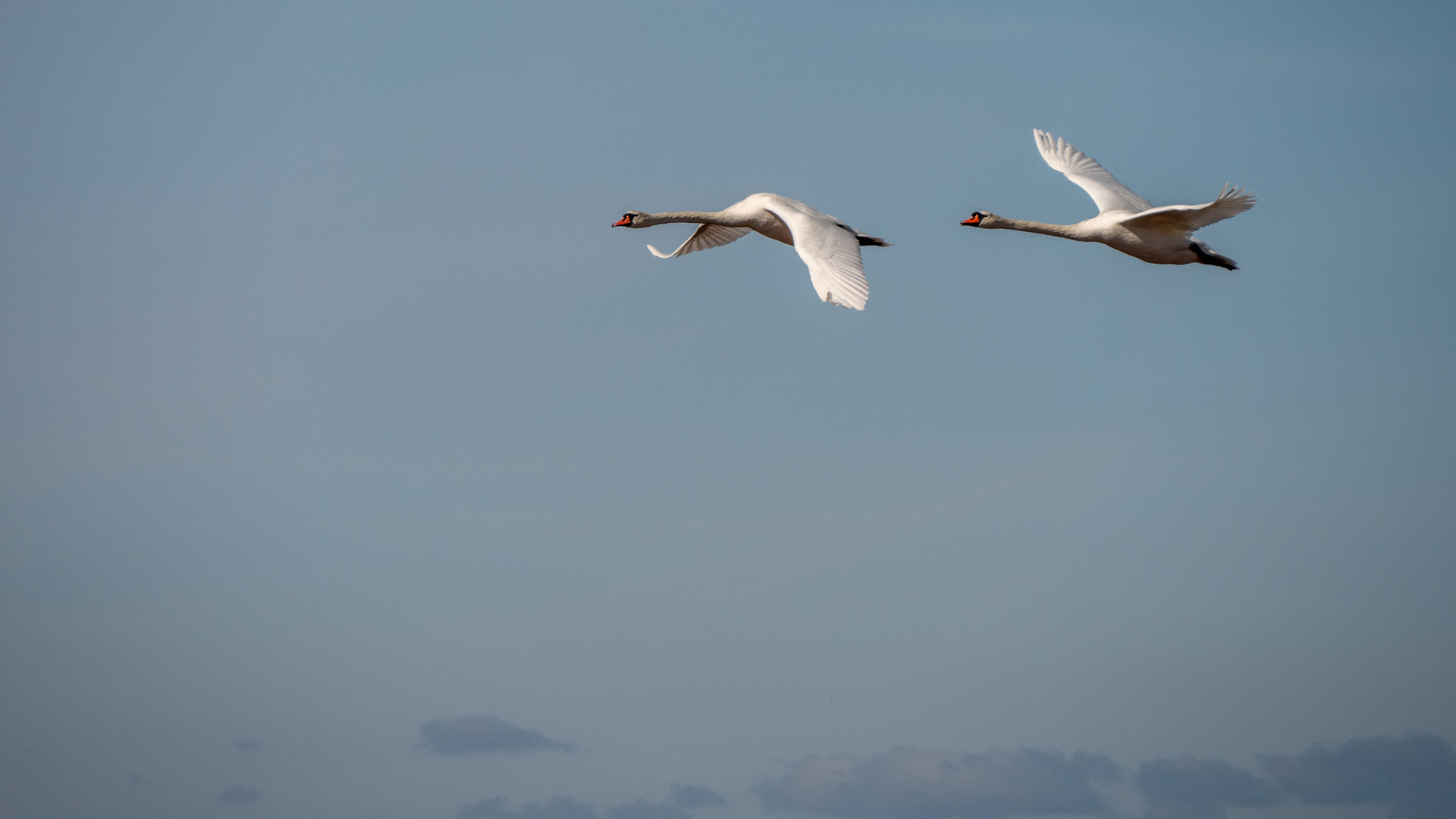 Vorbeiflug