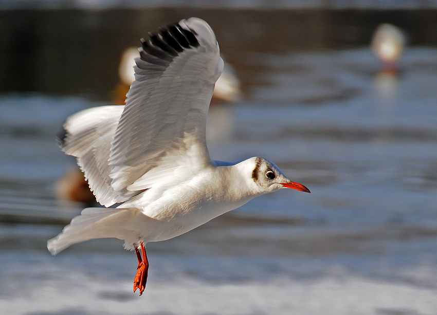 Vorbeiflug