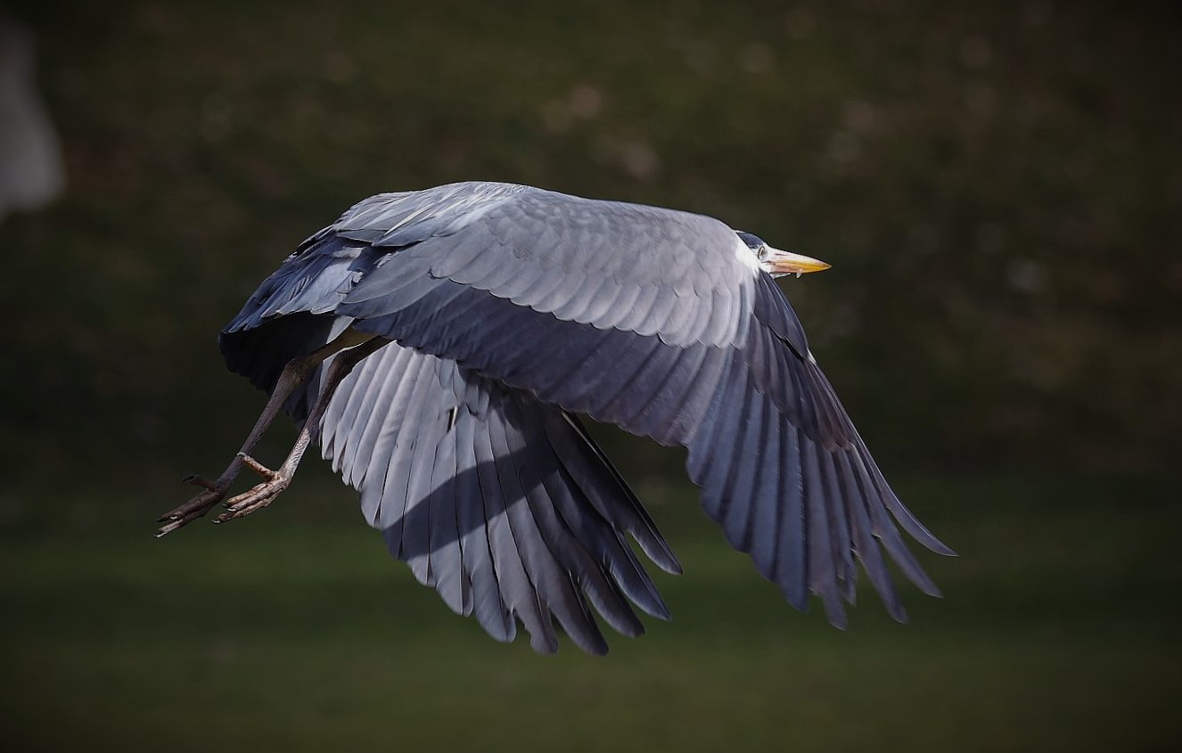 Vorbeiflug