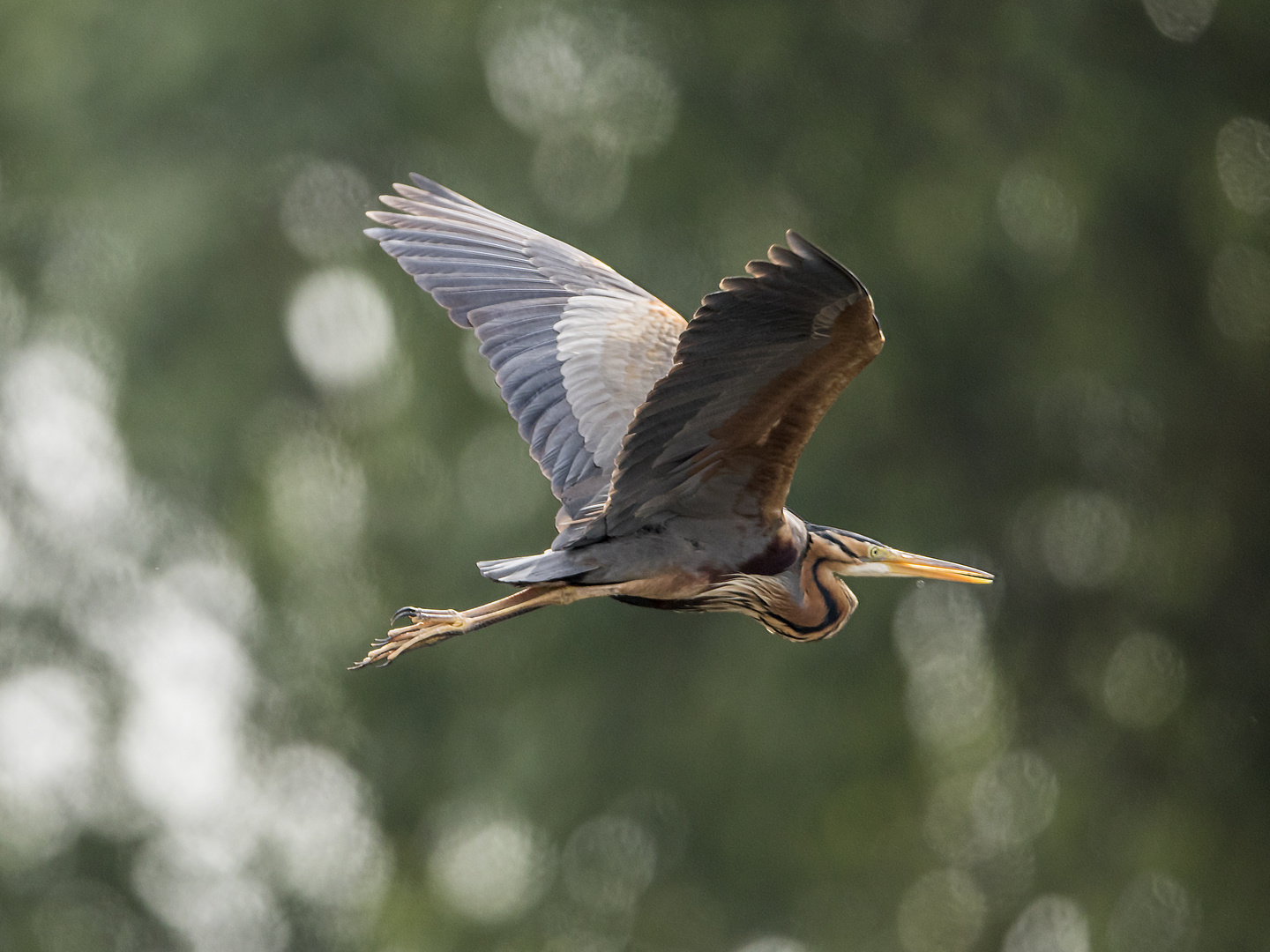 Vorbeiflug