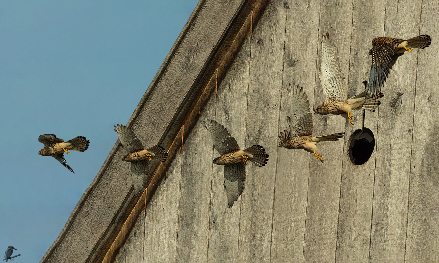 Vorbeiflug